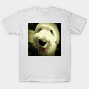 Bruno T-Shirt